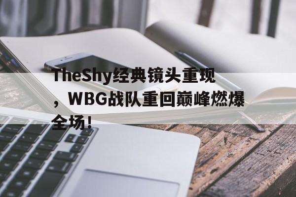 TheShy经典镜头重现，WBG战队重回巅峰燃爆全场！